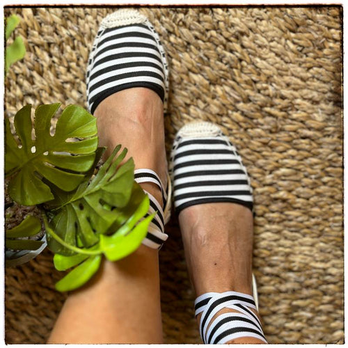 Alpargatas Cebra image 0