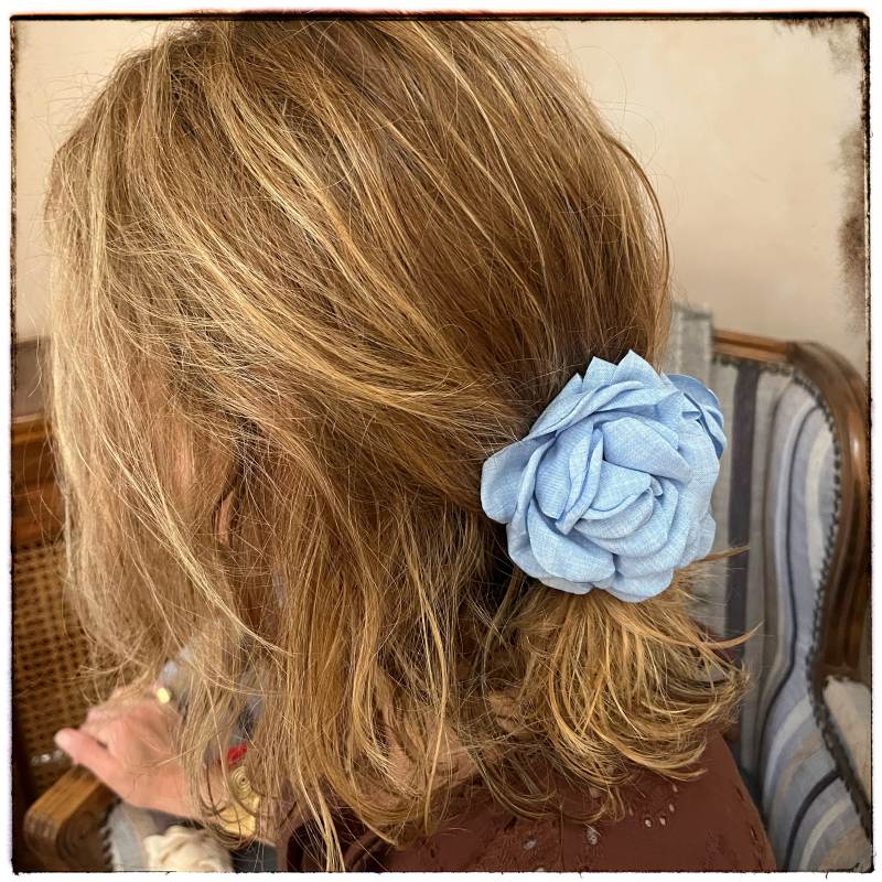 Pinche Rosa Celeste image 0